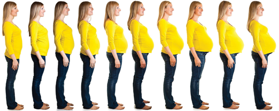 TITLE IX AND PREGNANCY DISCRIMINATION: WHO KNEW?